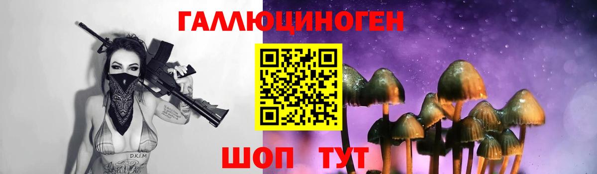 Псилоцибиновые грибы GOLDEN TEACHER Ульяновск